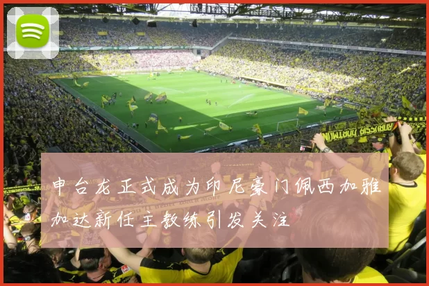 申台龙正式成为印尼豪门佩西加雅加达新任主教练引发关注