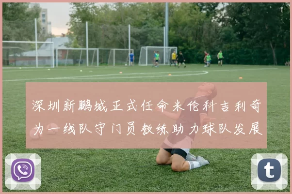 深圳新鹏城正式任命米伦科吉利奇为一线队守门员教练助力球队发展